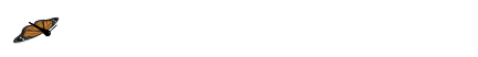 如何制定个性化的篮球技术训练计划_2
